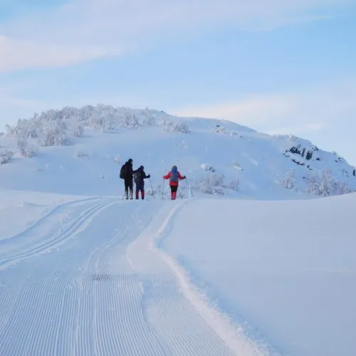 Frøystul vinter ski