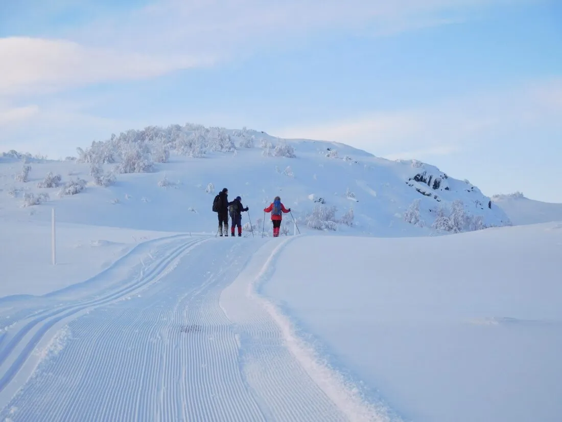 Frøystul vinter ski